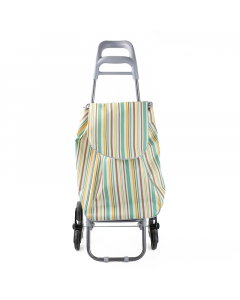 Shopping bag with green covers