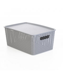 Plastic purposes box with a cover