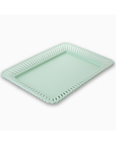 tray  stainless steel