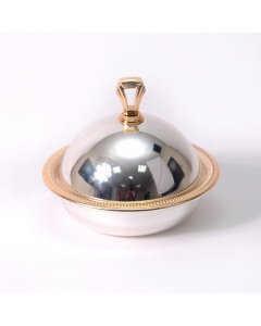Small golden silver tamriya