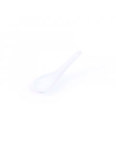 Porcelain spoon