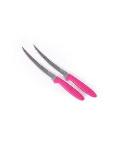 Fruit knife set of 2 pieces