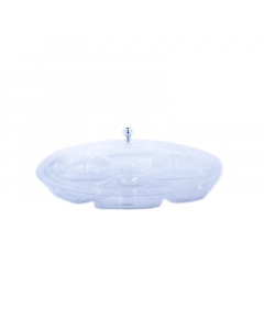 Acrylic nuts dish, 6 squares, with lid