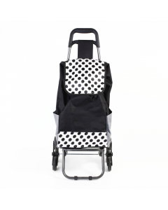 A camping bag for a chair
