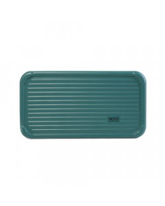 Serving tray an oily stainless steel medium