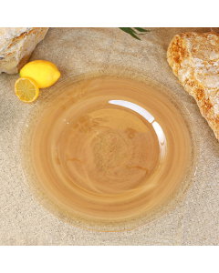 Glass plate size 30.5 cm