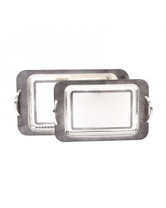 A set of 2 steel trays